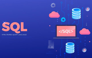 SQL / SQL Server